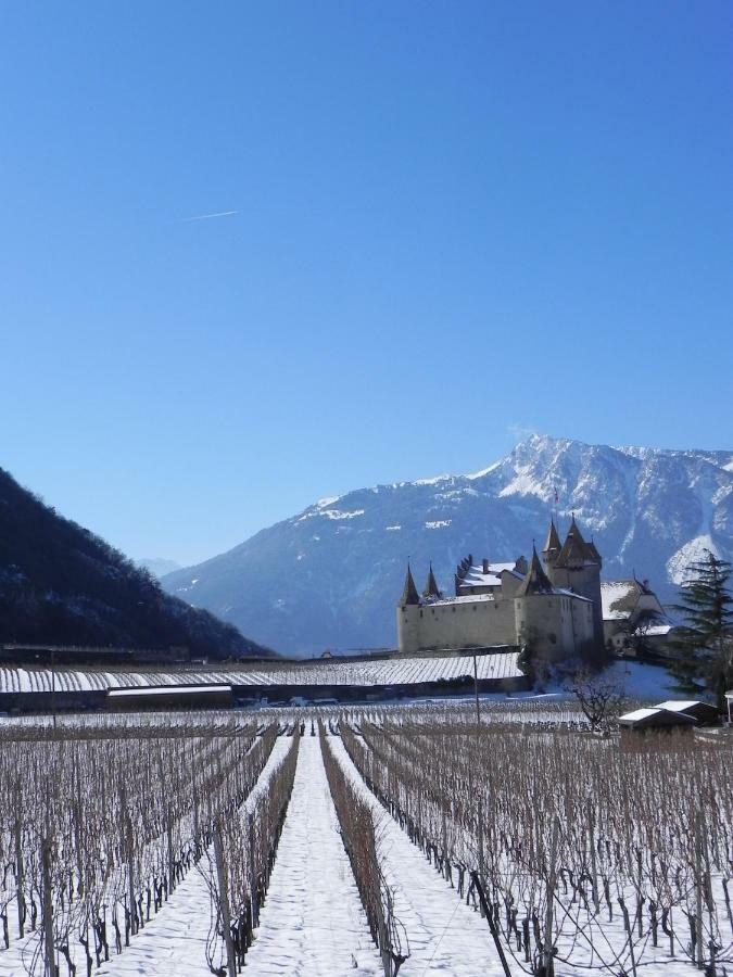 Hotel Elément-Terre Aigle Esterno foto